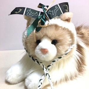 University of South Florida BULLS Cat Hat *NEW*